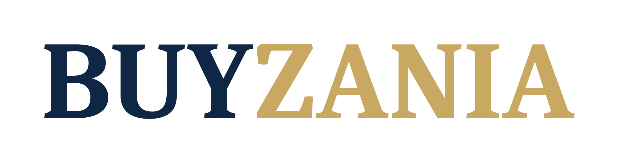 Buyzania store 